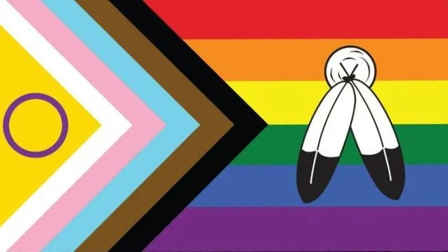 An image of the LGBTQIA2S+ flag